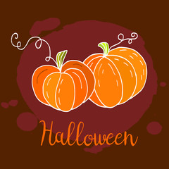 Two Halloween pumpkins, Halloween greeting card, hand drawn vector illustration