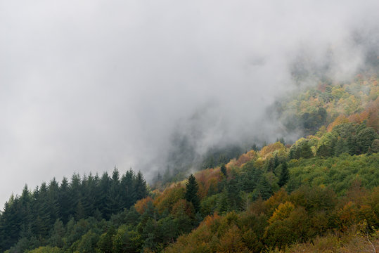 Fototapeta Fog in the mountains