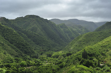 Fototapeta na wymiar Green tropical valley of Maui, Hawaii