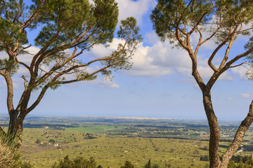 Fototapeta na wymiar Alta Murgia National Park: panoramic view. - (Apulia) ITALY-Hilly spring: panorama of the Murgia plateau from Castel del Monte; in the background the city of Andria and Barletta.