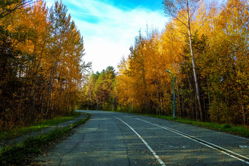 Road for running with nobody in autumn park