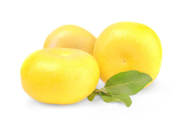 Oroblanco citrus isolated on white