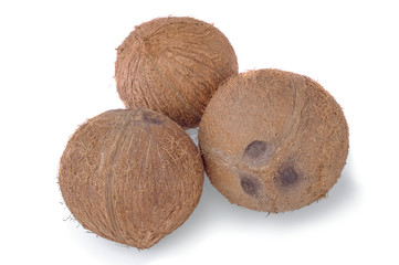 Three whole coconuts on white background