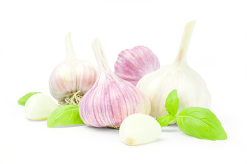 Organic garlic on a white background
