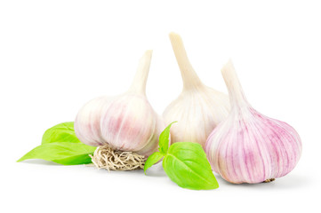 Garlic bulb isolated on white background cutout