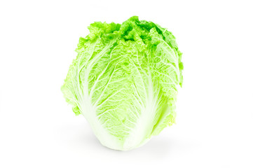 Chinese cabbage on white background