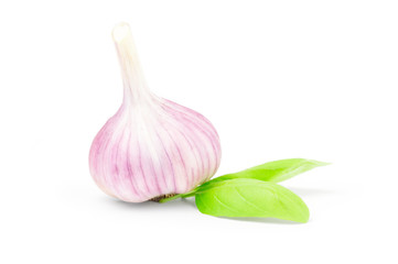 Raw garlic isolated on a white background