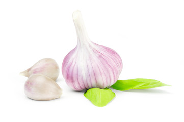 Garlic on a white background