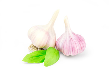 Two heads garlic isolated on white background