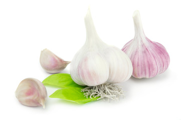 Garlic. Group isolated on white background