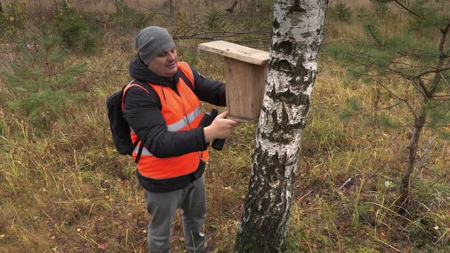 Ornithologist with  bird nesting box near birch in forest