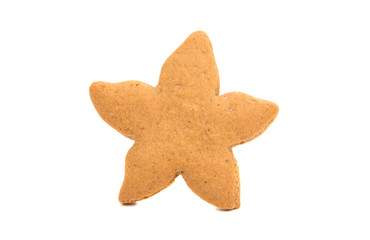gingerbread cookies