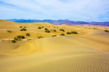 sand dunes in death valley california