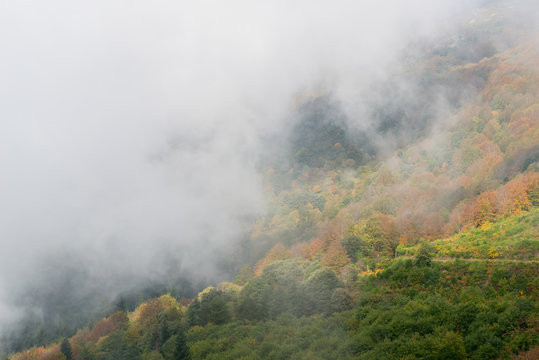 Fototapeta Fog in the mountains