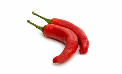 Chili pepper isolated