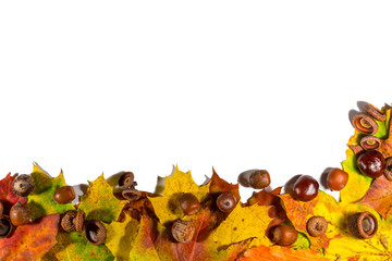 Background with red, orange, brown and yellow falling autumn leaves, chestnuts and peanuts on white board