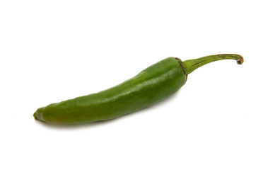 Chili pepper isolated