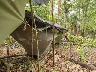 Camp in the jungle