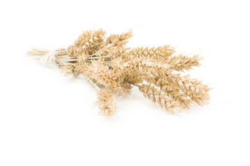 Wheat bunch isolated on white