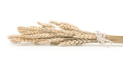 Wheat isolated on white background