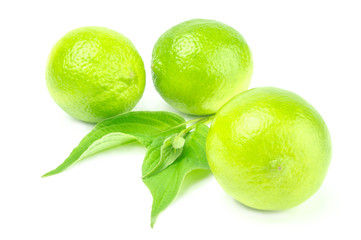 Three ripe limes isolated on white