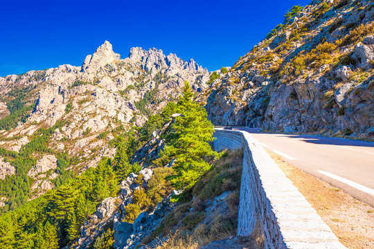Pine trees in Col de Bavella mountains, Corsica island, France