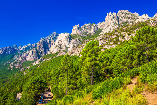 Pine trees in Col de Bavella mountains near Zonza town, Corsica