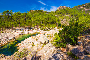 Fototapeta na wymiar People swinning in Corsica river with pine trees under the Col de Bavel mountains, Corsica, France