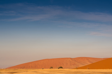 Fototapeta na wymiar Red dunes of Sossusvlei 