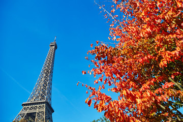 Eiffel tower with bright autumn leaves over the blue sky