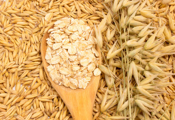 grain oats and oatmeal