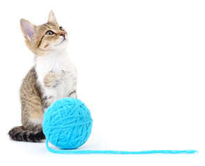 Cat with ball of yarn