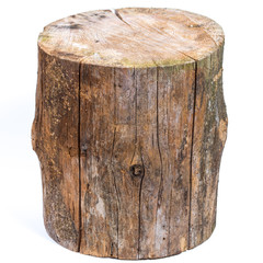 Obraz premium log isolated on a white background