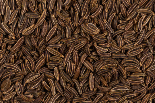 Close up caraway seeds