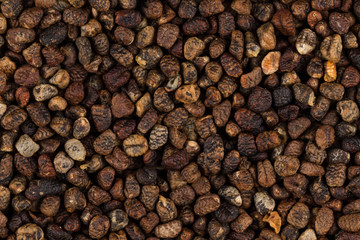 Decorticated cardamom seeds