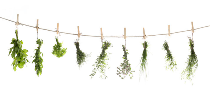 Kr&auml;uter an Schnur