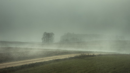 Mgłą pokryte pola