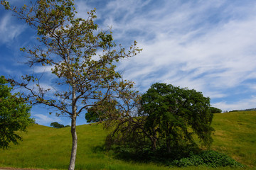 Blue sky over green hills in California