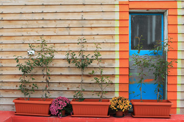 Fototapeta na wymiar Colorful house door and potted flowers .
