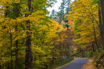 road curving through the state park in autumn 
