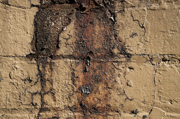 Stained Decaying Wall