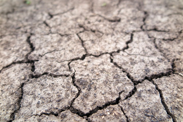 Cracked fertile soil in the early spring garden