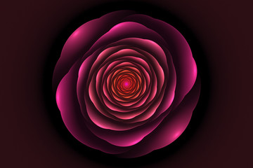Black background with pink rose in the center. Flower texture, f