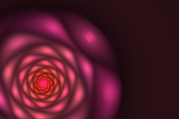 Black background with blurred pink and orange rose. Flower textu