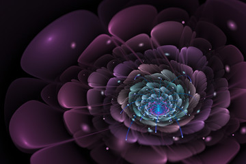 Black background with purple and turquoise flower in the center.