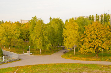 Multicolored trees in a city park on autumn