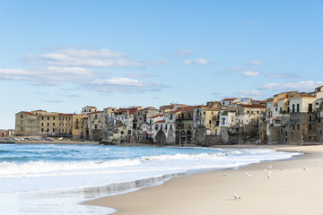 Fototapeta na wymiar Seagulls on the Cefalu beach. Sicily. Italy