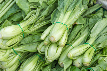 Obraz premium Green vegetables