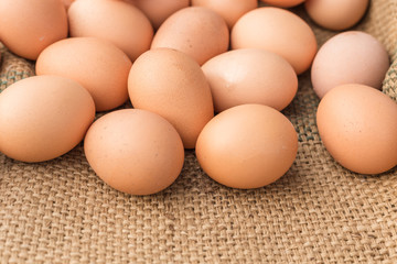 Fresh Egg With Burlap Sack