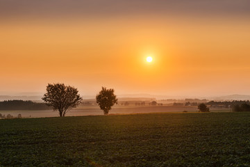 Fototapeta na wymiar sunset over a foggy field
